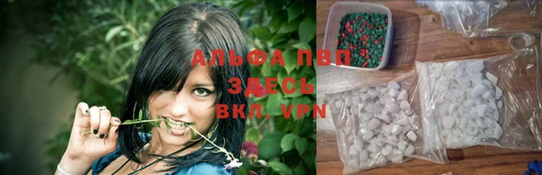 винт Аркадак