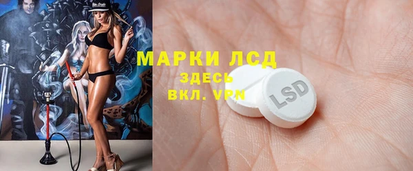 сатива Арсеньев