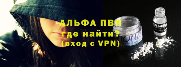 сатива Арсеньев
