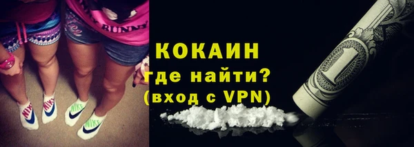 сатива Арсеньев