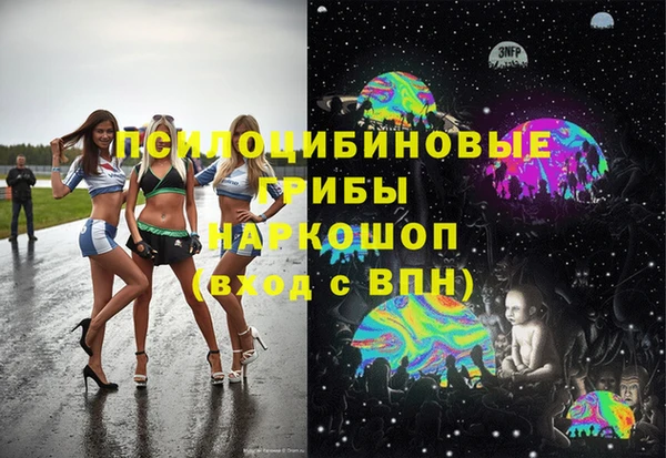 сатива Арсеньев