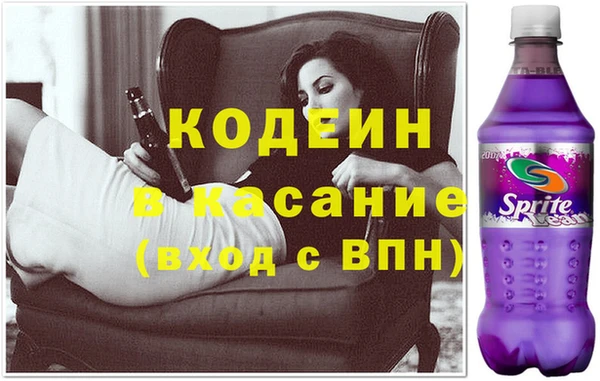сатива Арсеньев