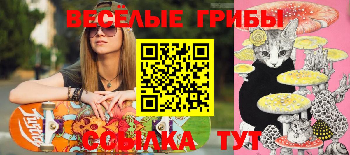 Галлюциногенные грибы прущие грибы  Псилоцибиновые грибы мухоморы  Сыктывкар  Вход с VPN 