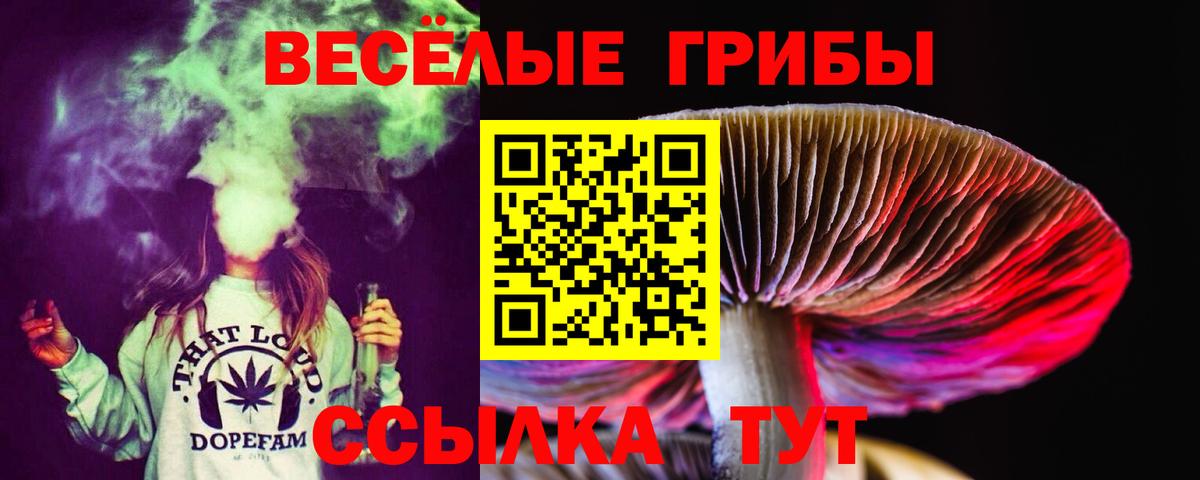 Галлюциногенные грибы Psilocybine cubensis Сыктывкар